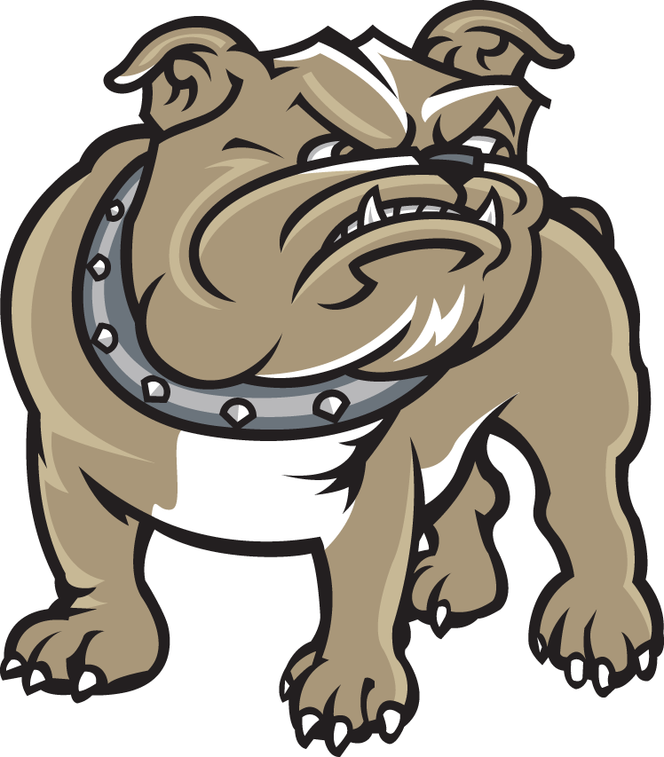 Bryant Bulldogs 2005-Pres Alternate Logo iron on transfers for T-shirts